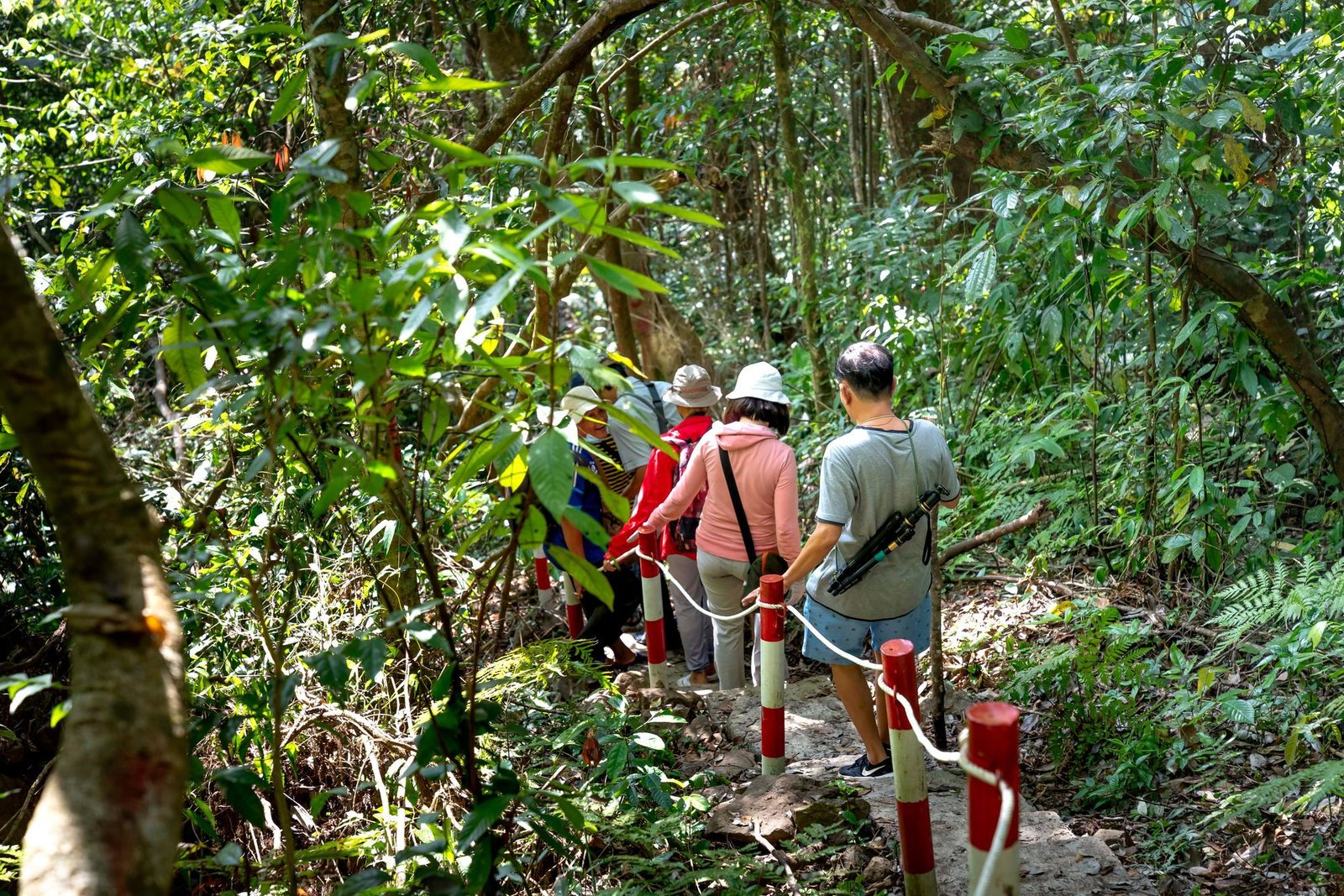 Small group walking a jungle path with a guide