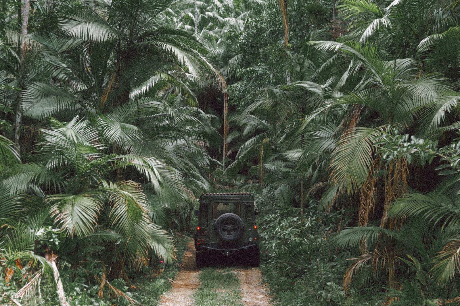 Off-road vehicle on a jungle track